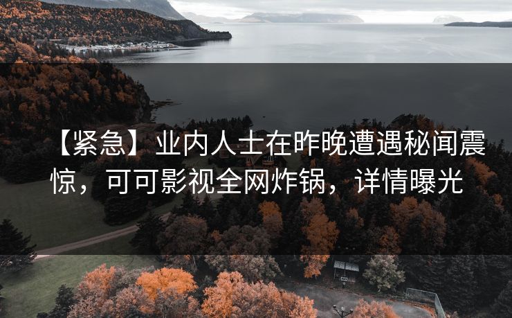 【紧急】业内人士在昨晚遭遇秘闻震惊，可可影视全网炸锅，详情曝光